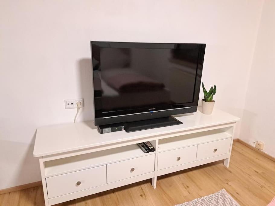 Ferienwohnung Zanier Gaissau  Extérieur photo